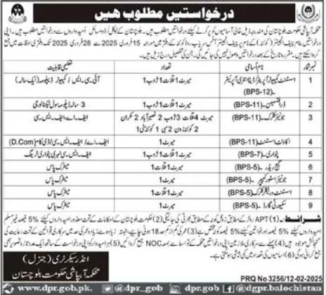 Irrigation Department Balochistan Jobs 2025 Advertisement #1