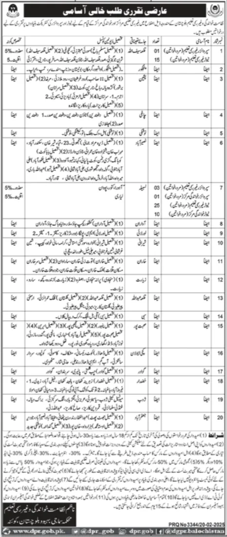 Literacy and Non Formal Basic Education Department Jobs 2025 Advertisement