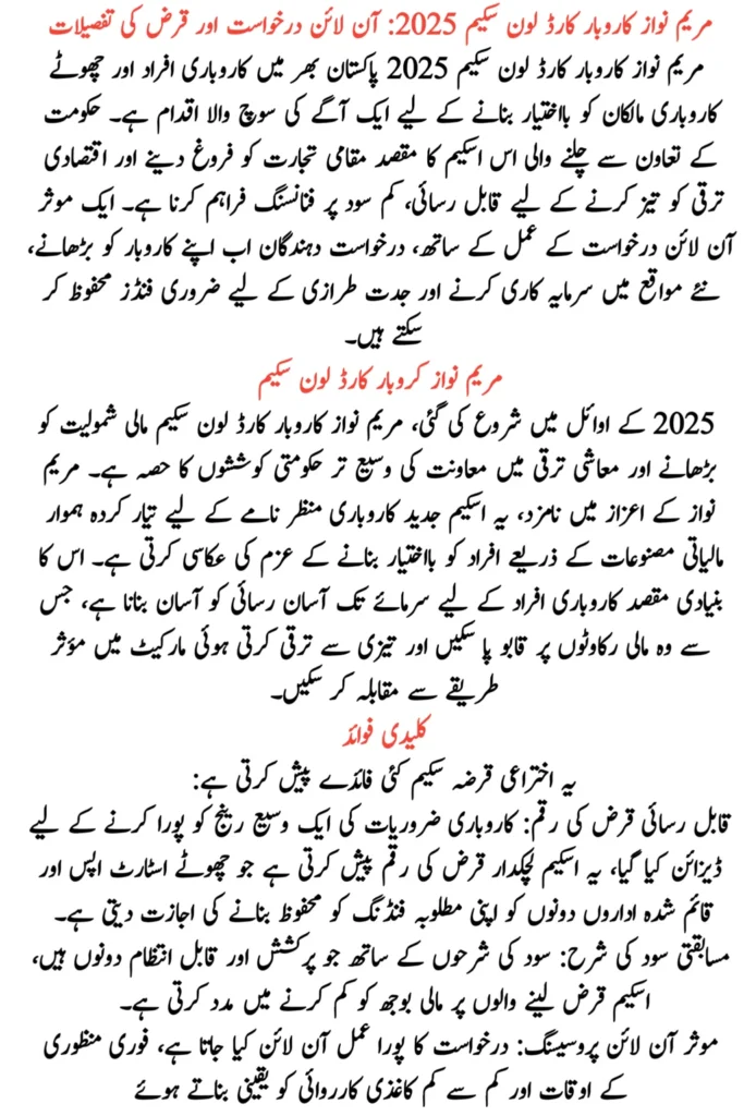 Maryam Nawaz Karobar Card Loan Scheme 2025 Advertisement