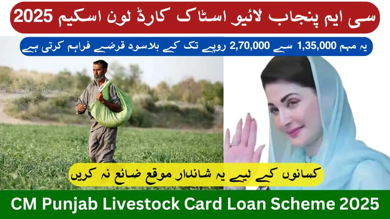 CM Punjab Livestock Card Loan Scheme