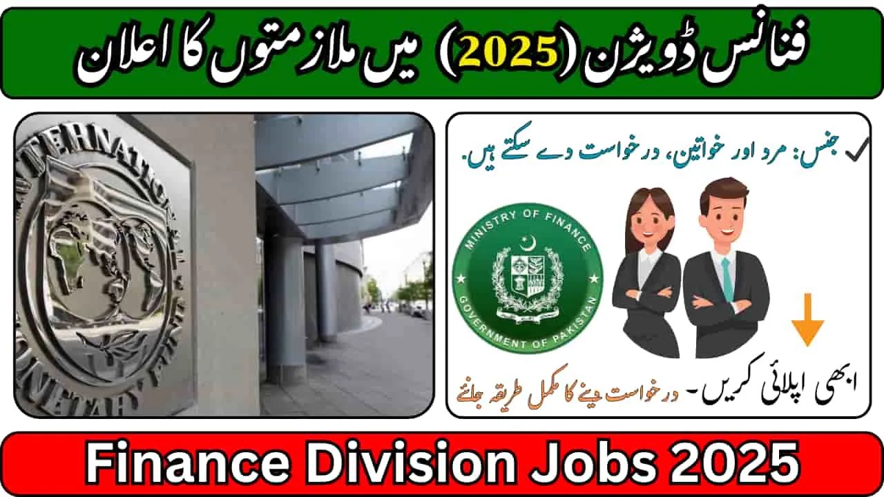 Finance Division Jobs