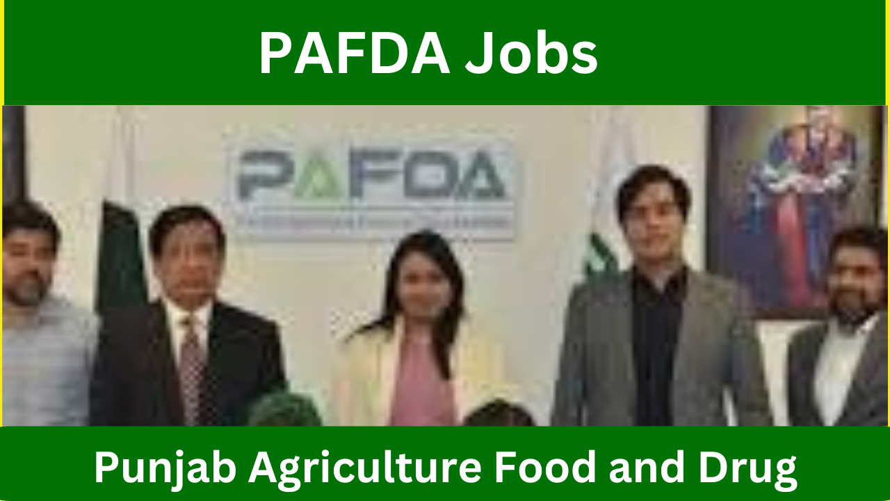 PAFDA Jobs