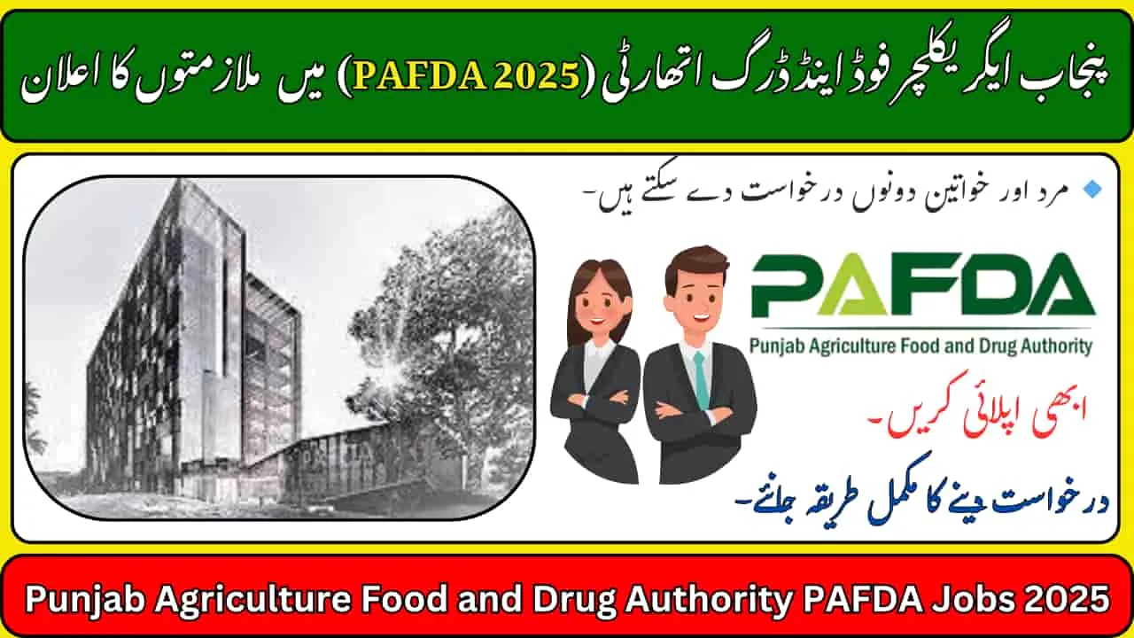 PAFDA Jobs