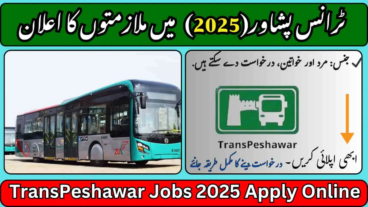 TransPeshawar Jobs
