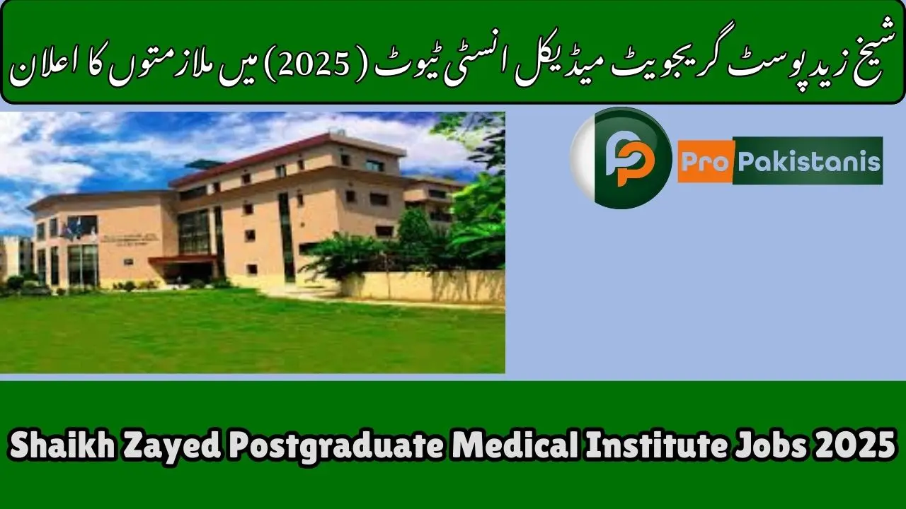 Shaikh Zayed Postgraduate Medical Institute Jobs 2025
