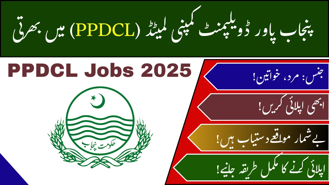 PPDCL Jobs
